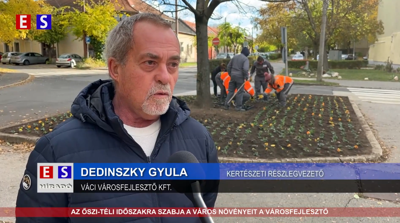Az őszi-téli időszakra szabja a város növényeit a Városfejlesztő