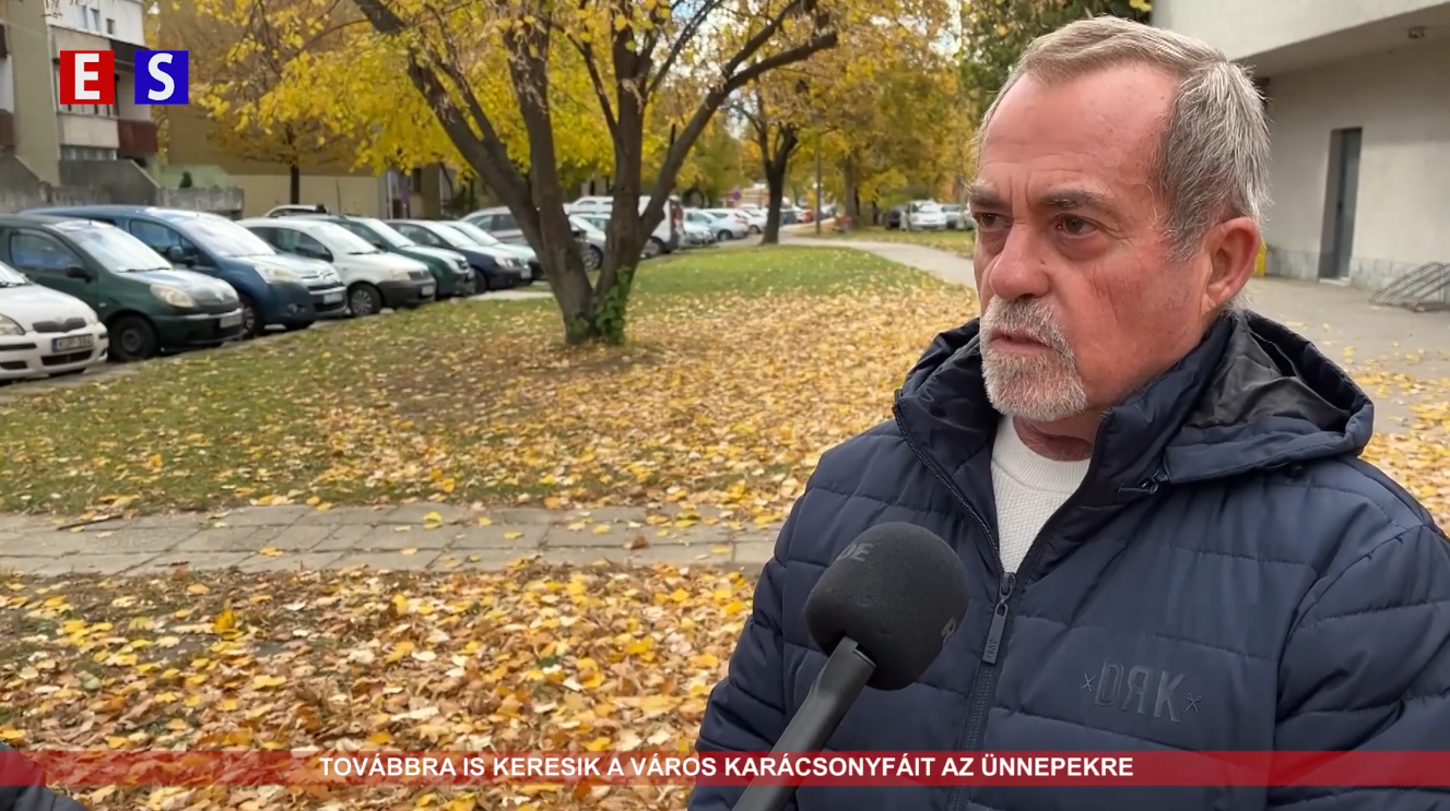 Továbbra is keresik a város karácsonyfáit az ünnepekre