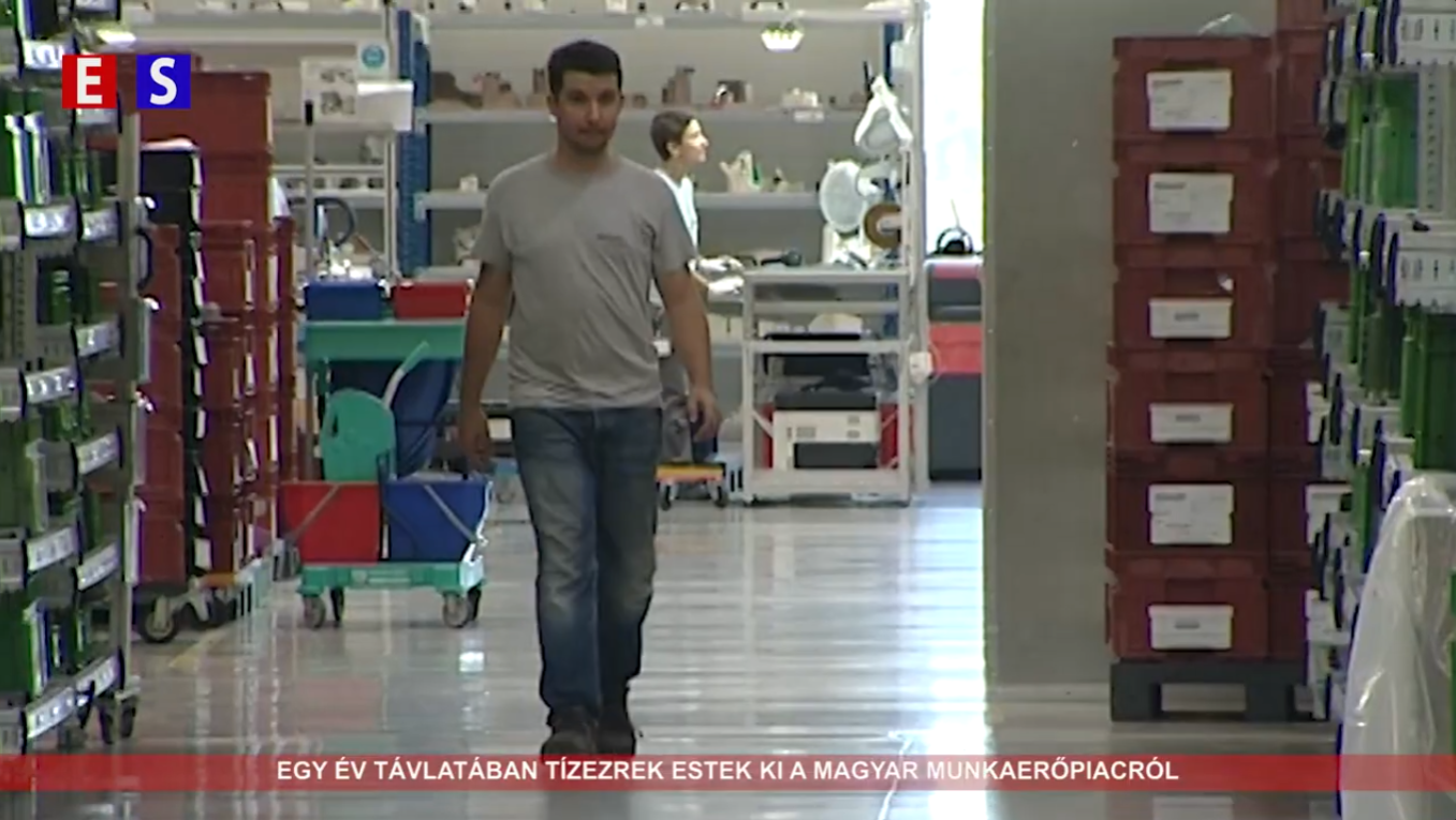 Egy év távlatában tízezrek estek ki a magyar munkaerőpiacról