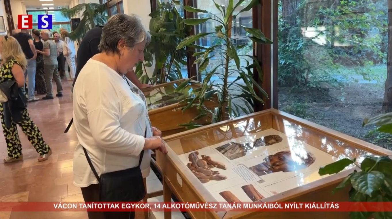Vácon tanítottak egykor. 14 alkotóművész tanár munkáiból nyílt kiállítás