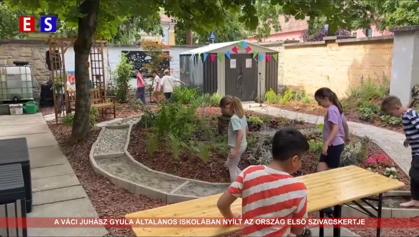 A Váci Juhász Gyula Általános Iskolában nyílt az ország első szivacskertje