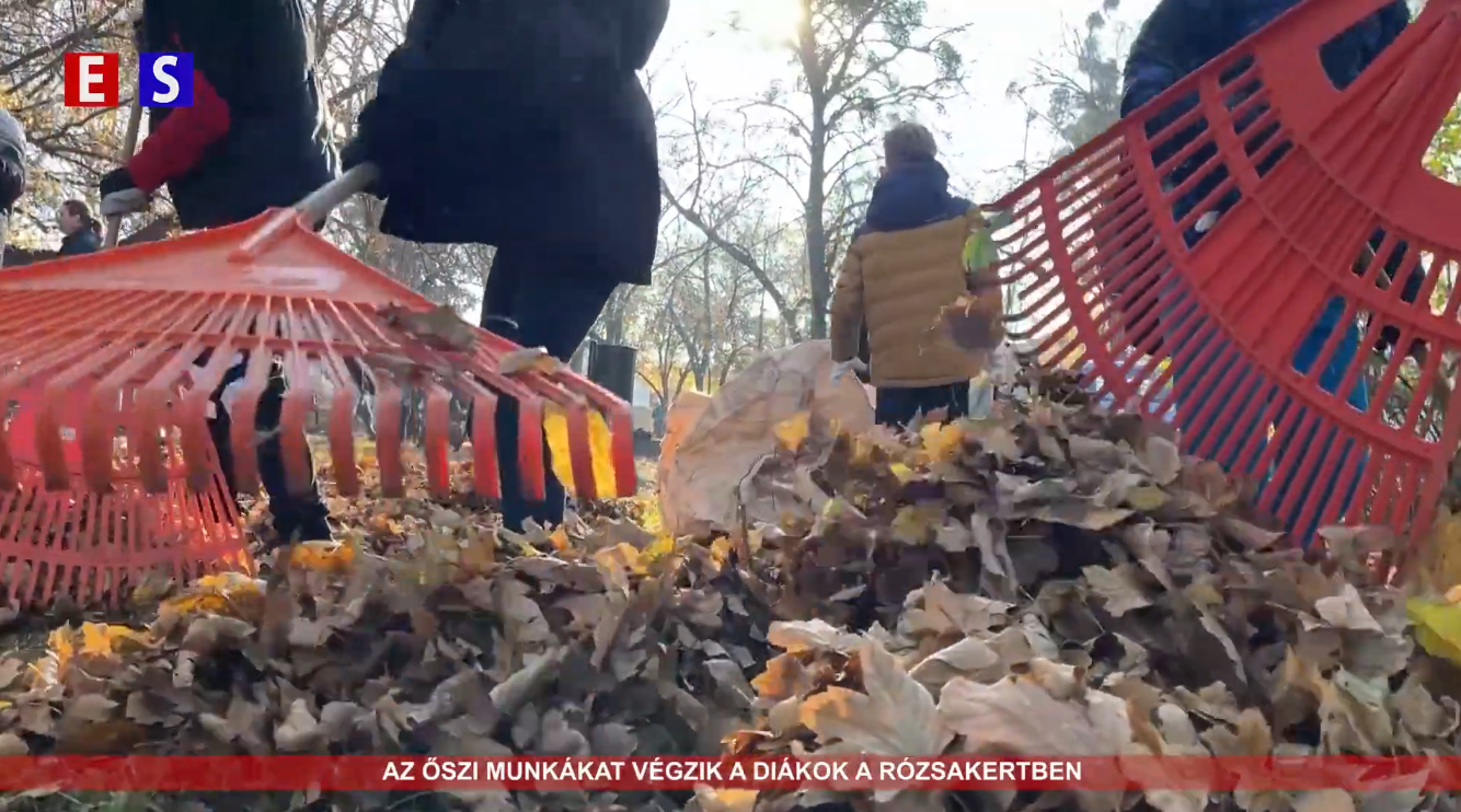 Az őszi munkákat végzik a diákok a Rózsakertben