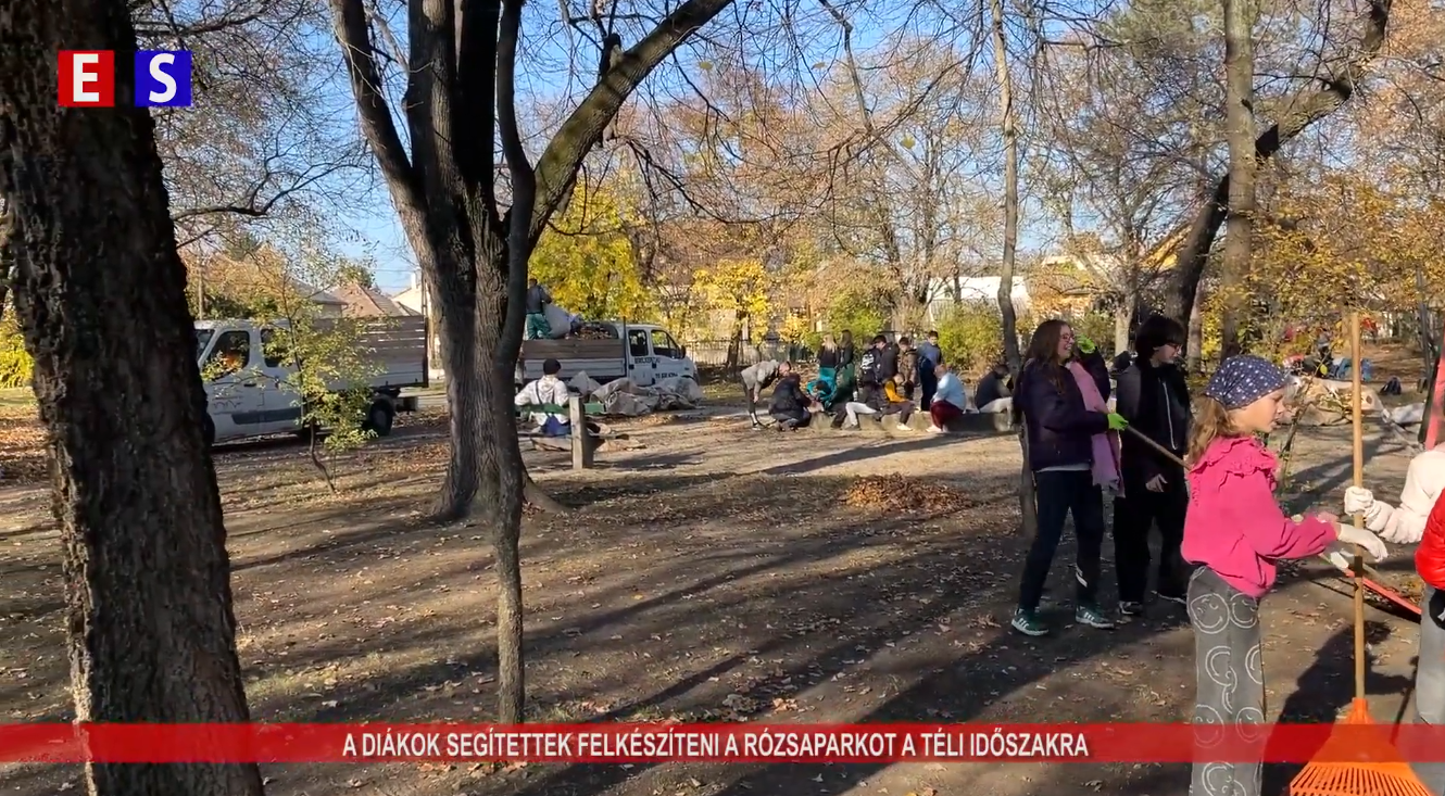 A diákok segítettek felkészíteni a Rózsaparkot a téli időszakra