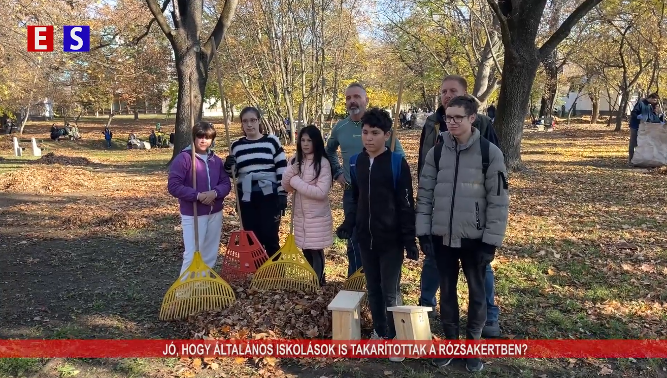 Jó, hogy általános iskolások is takarítottak a Rózsakertben?