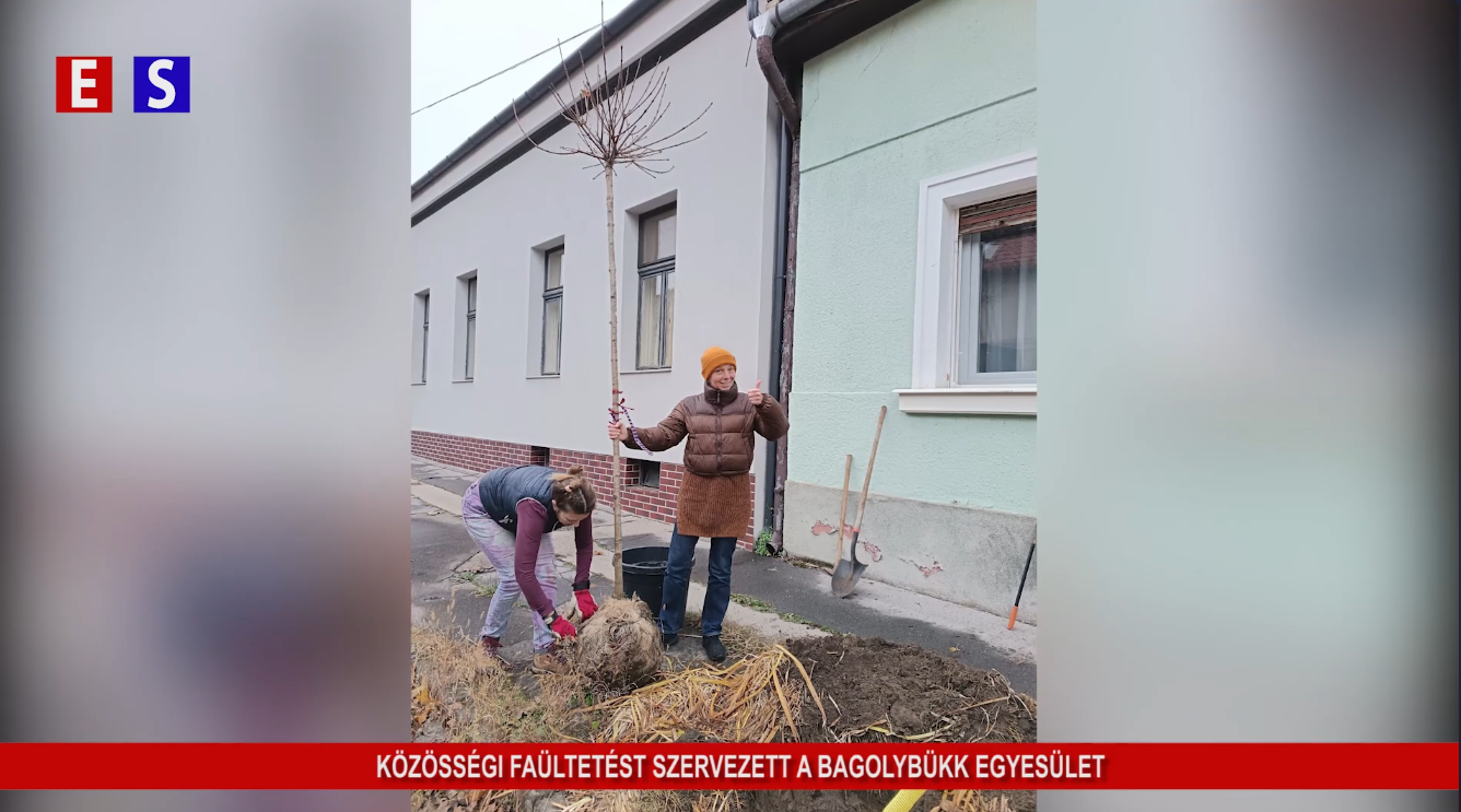 Közösségi faültetést szervezett a hétvégére a Bagolybükk Egyesület