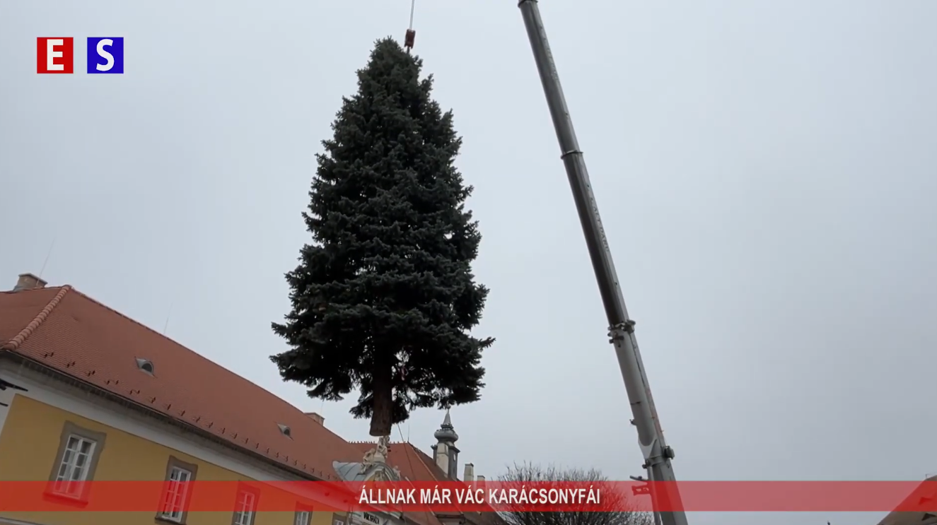 Állnak már Vác karácsonyfái