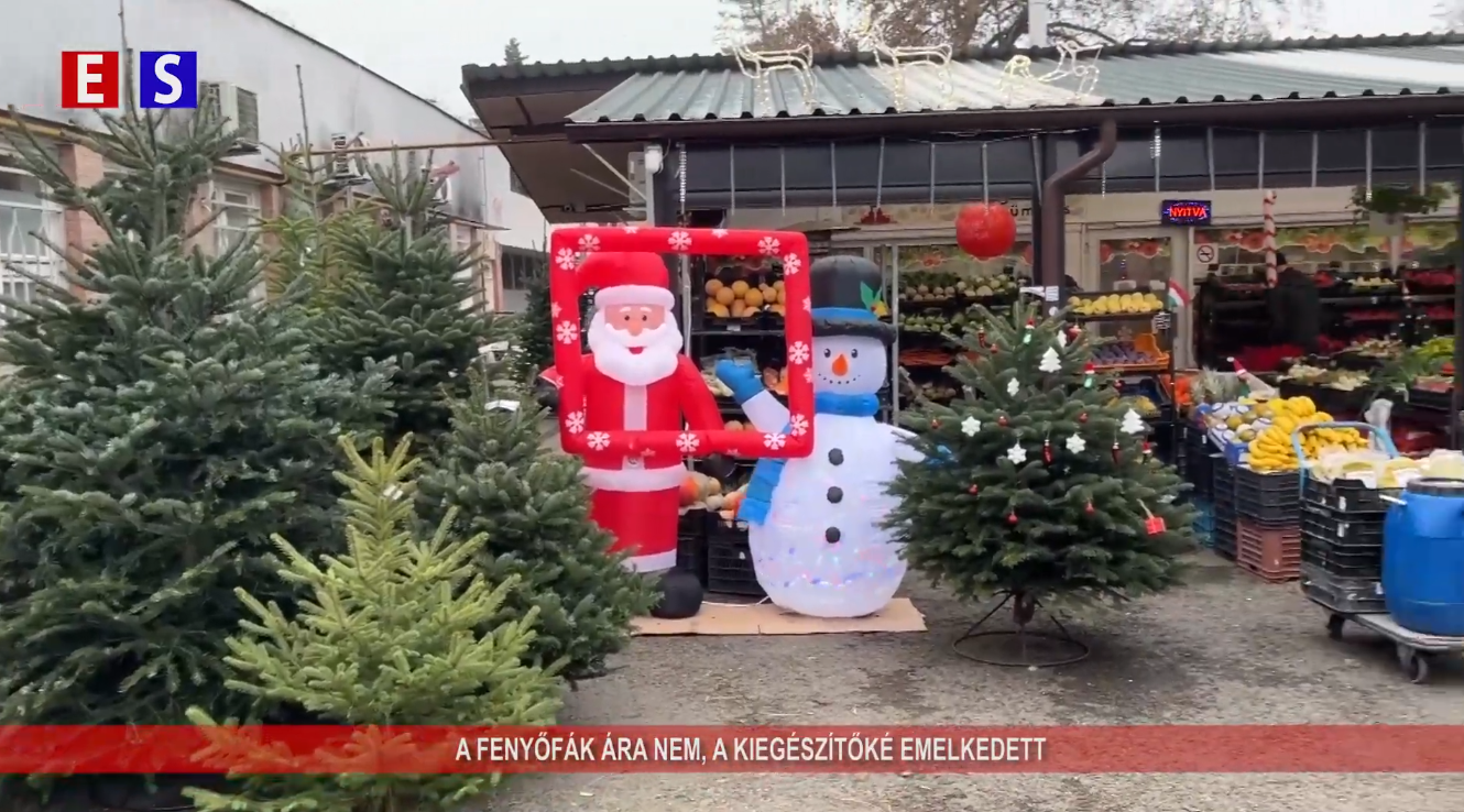 A fenyőfák ára nem, a kiegészítőké viszont emelkedett