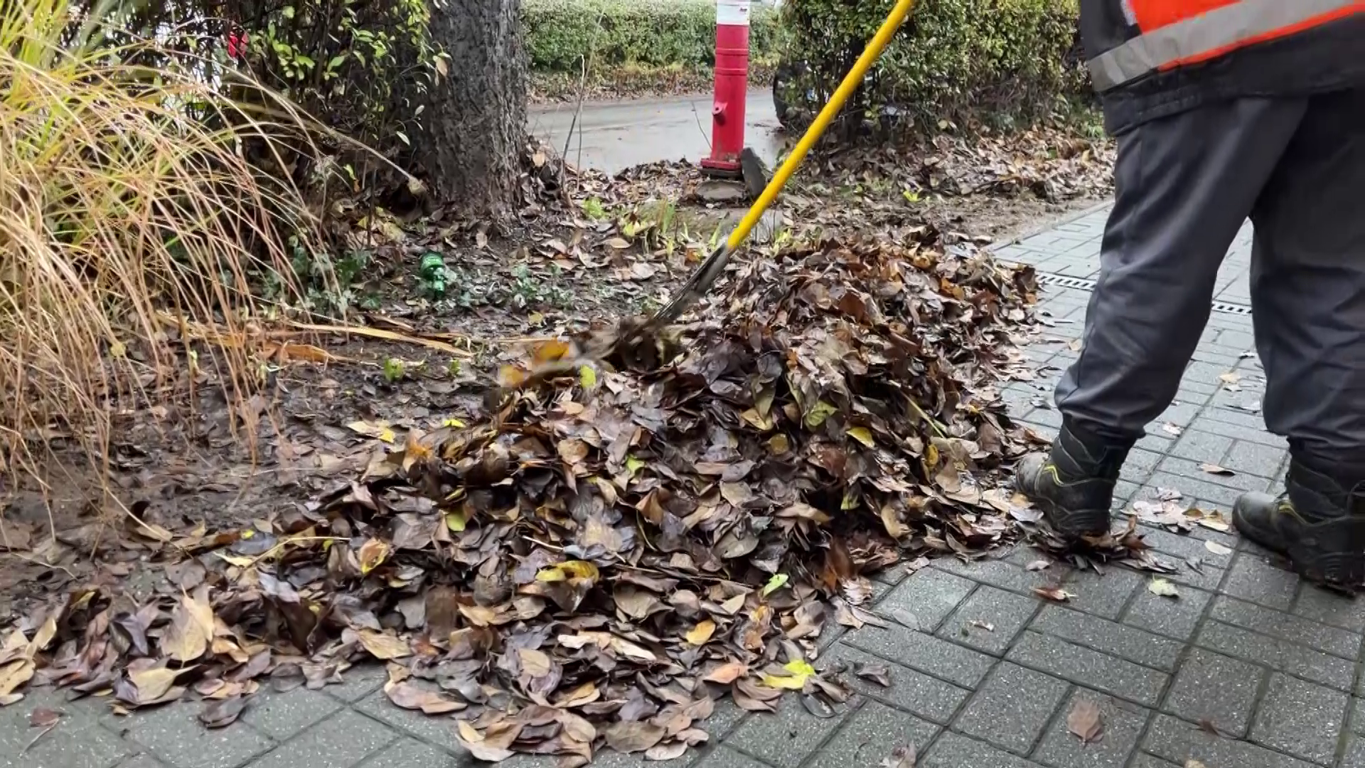 Végeztek a lombgyűjtéssel a Városfejlesztő Kft. munkatársai