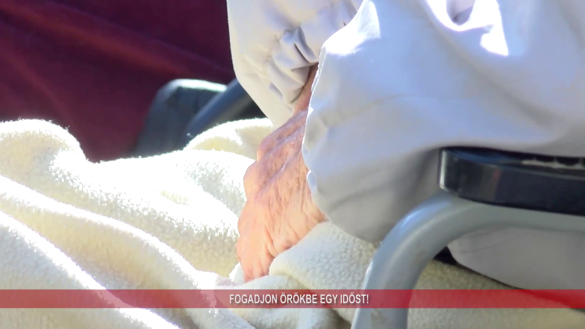 Fogadjon örökbe egy időst!