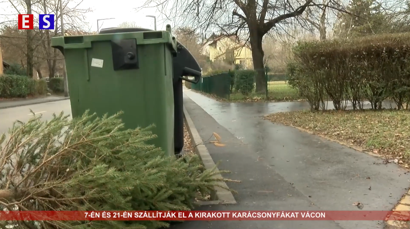 Január 7-én és 21-én szállítják el a kirakott karácsonyfákat Vácon