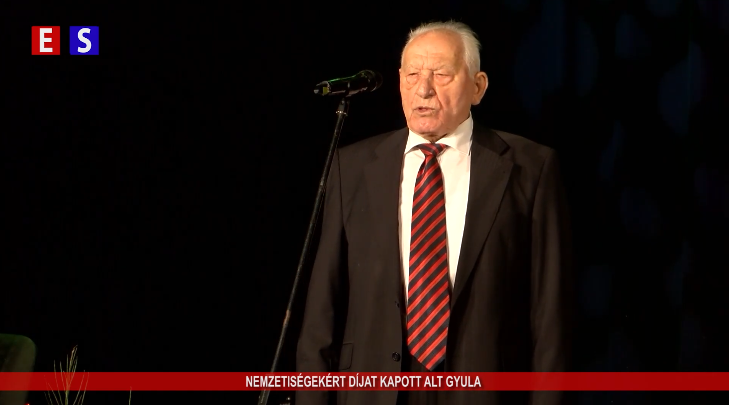 Nemzetiségekért díjat kapott Alt Gyula