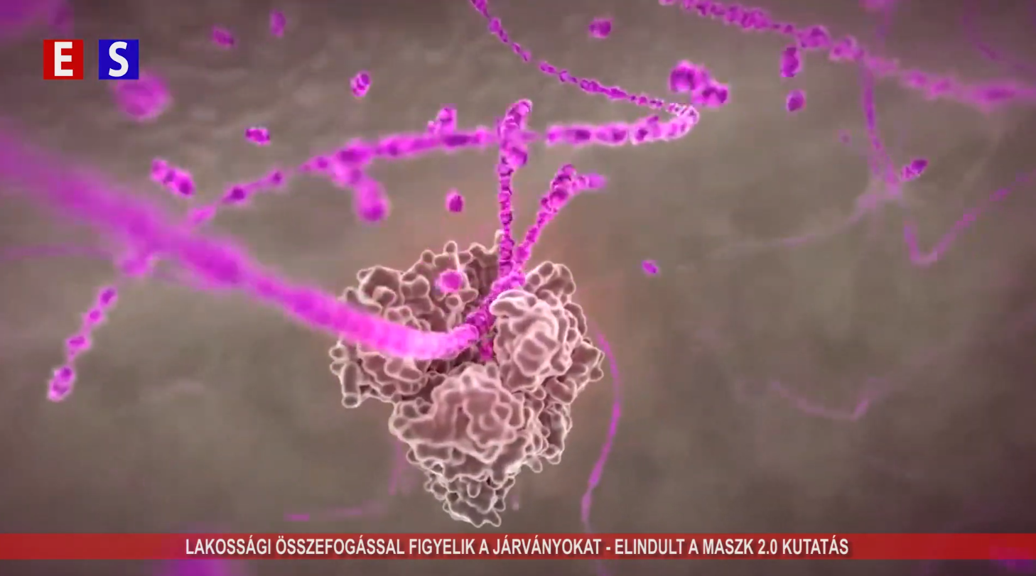Lakossági összefogással figyelik a járványokat – elindult a MASZK 2.0 kutatás