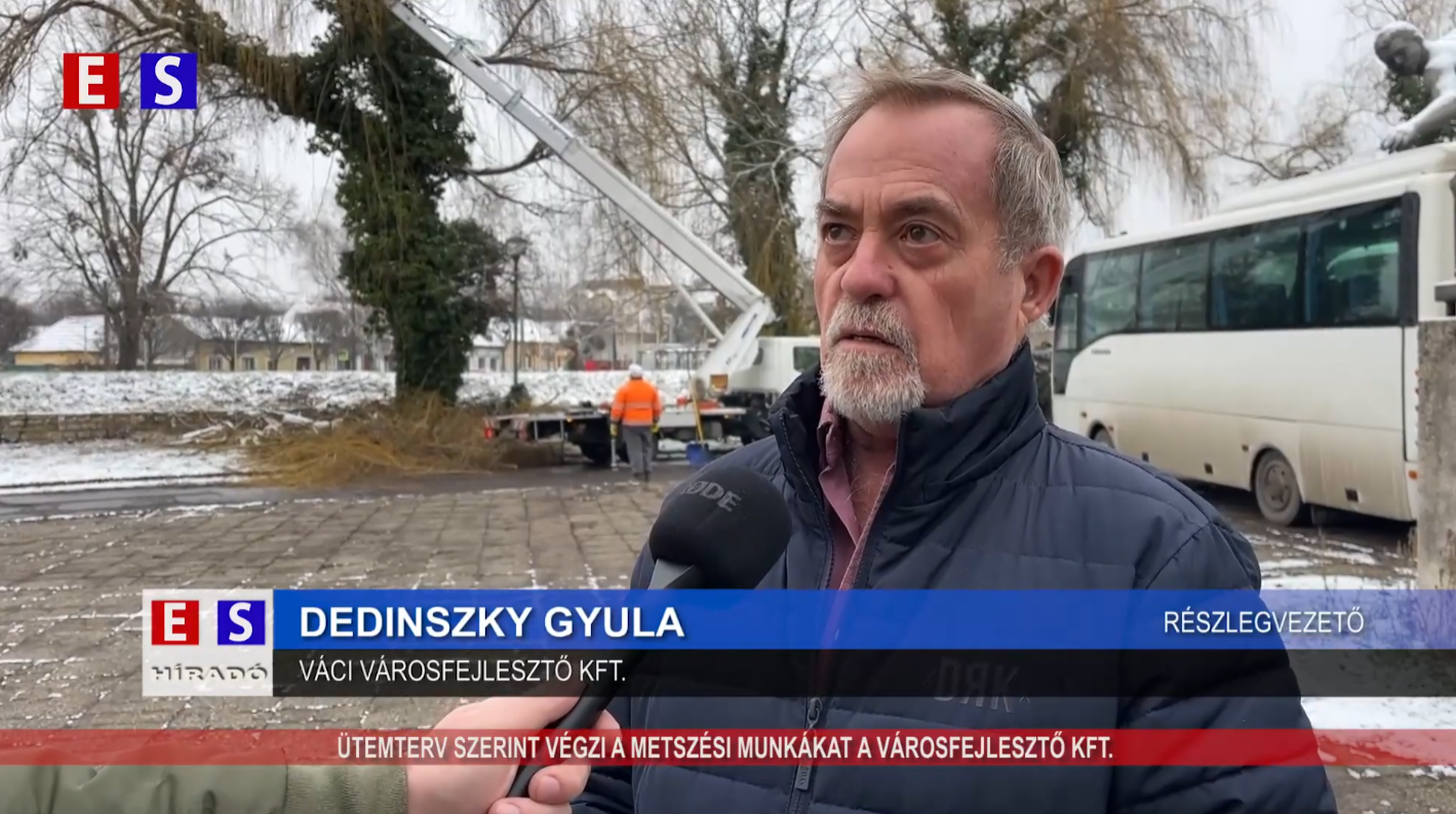 Ütemterv szerint végzi a metszési munkálatokat a Városfejlesztő Kft.