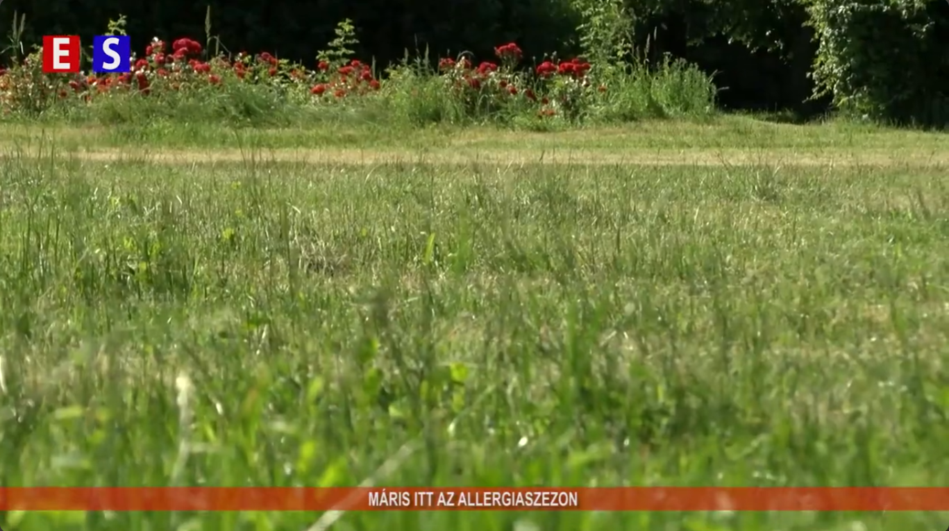 Máris itt az allergiaszezon