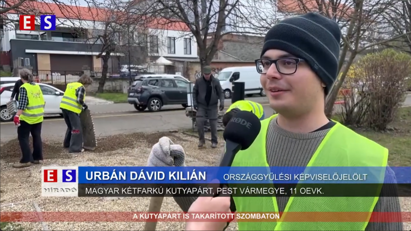 A kutyapárt is takarított szombaton