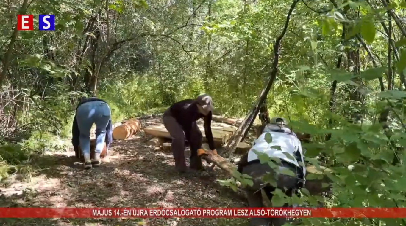 Május 14-én újra erdőcsalogató program lesz Alsó-Törökhegyen