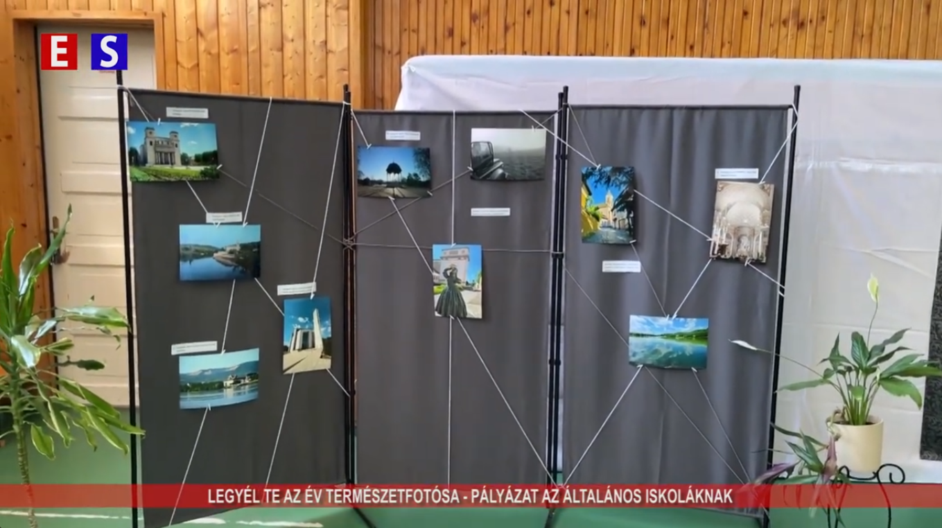 Legyél te az év természetfotósa! – pályázat az általános iskolásoknak