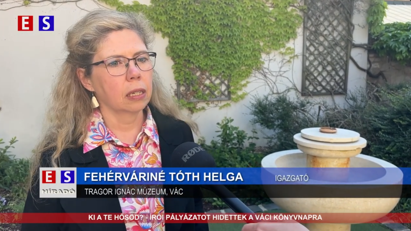Ki a te hősöd? – írói pályázatot hirdettek a Váci Könyvnapra