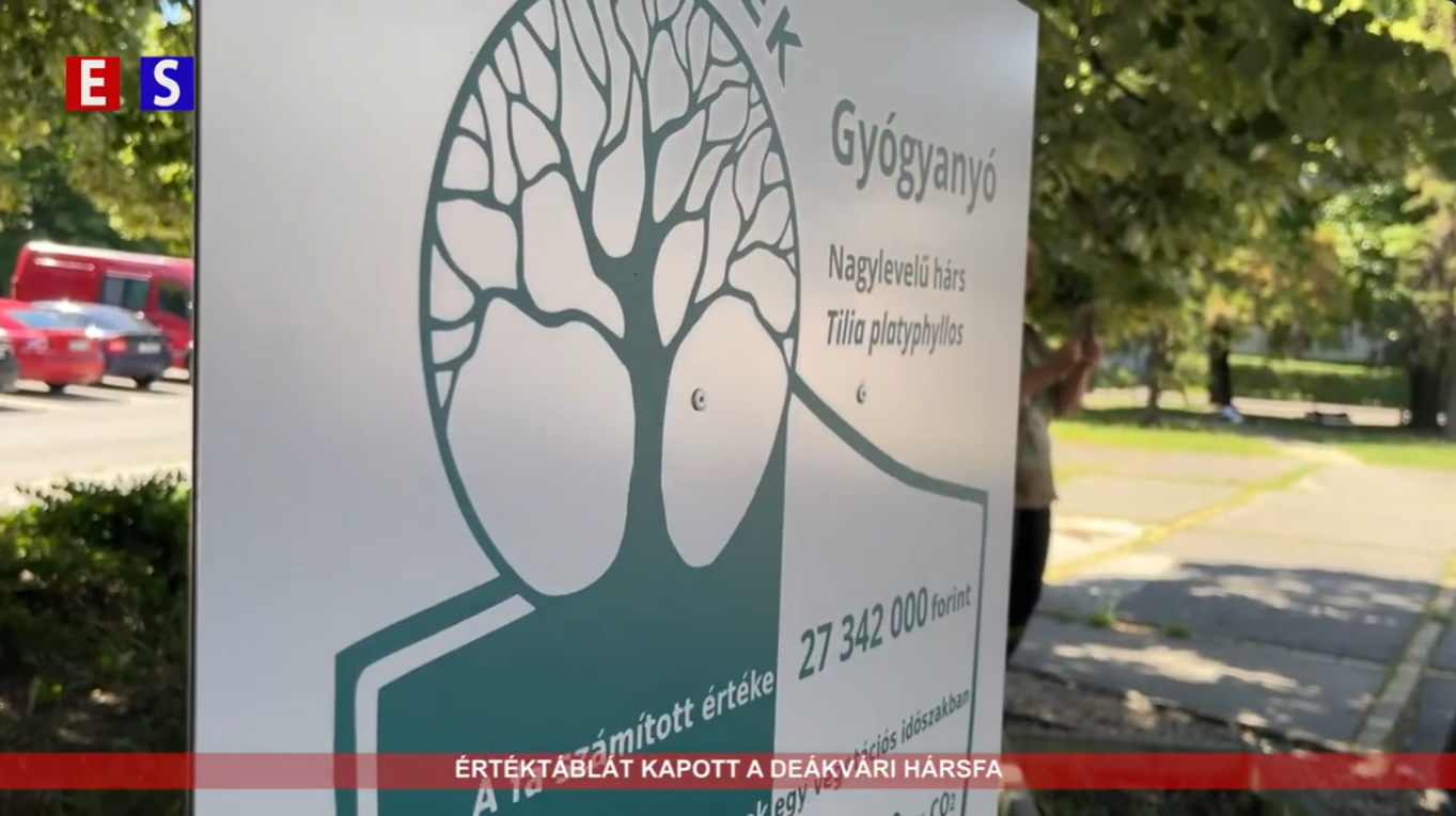 Értéktáblát kapott a deákvári hársfa