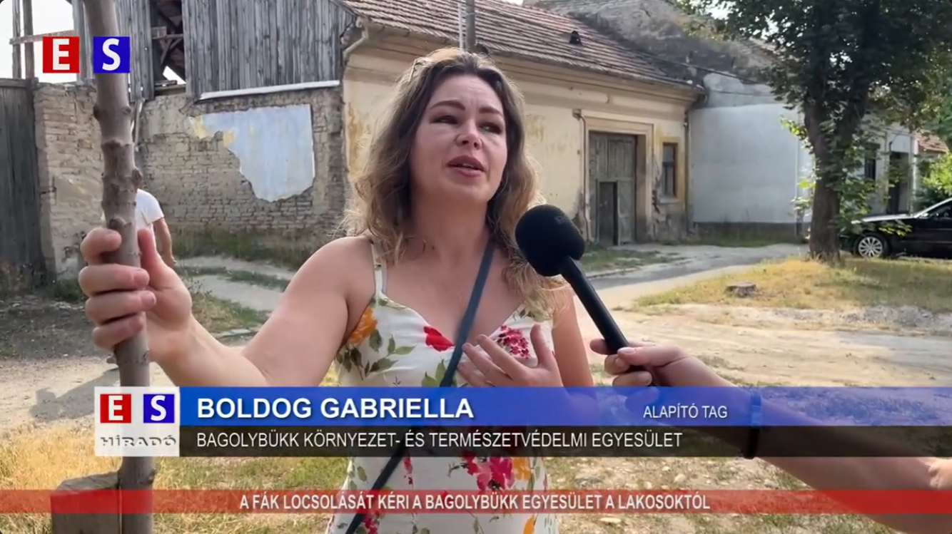 A fák locsolását kéri a Bagolybükk Egyesület a lakosoktól